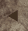 Previous